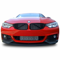Bmw F32 - F33 - F36 4 Serisi 2013-2020 Uyumlu M Performance Ön Lip Plastik Boyasız