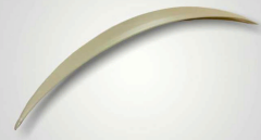 Mercedes W205 C Serisi Uyumlu Yedek Parça Anatomik Spoiler