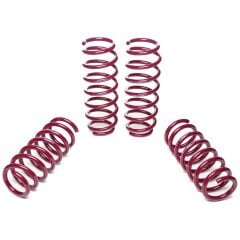 Honda Civic Uyumlu Yedek Parça Type-R, Typ FK2, incl. GT Vogtland Spor Yay ( 20MM Alçaltma )